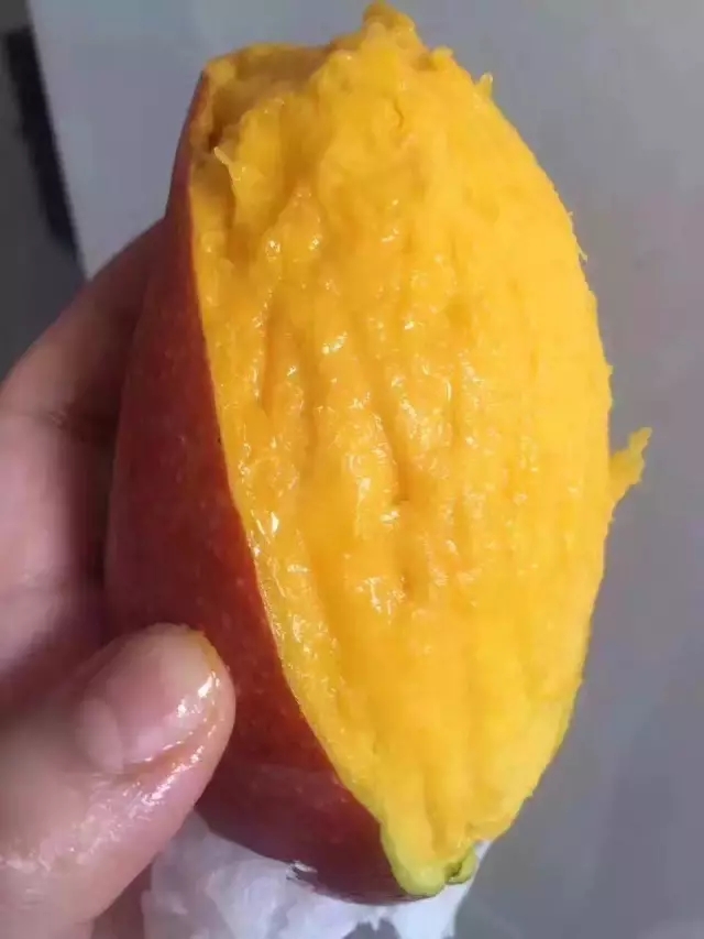 永利澳门手机网站