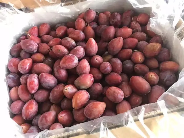 永利澳门手机网站