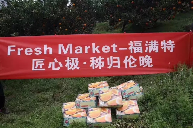 永利澳门手机网站