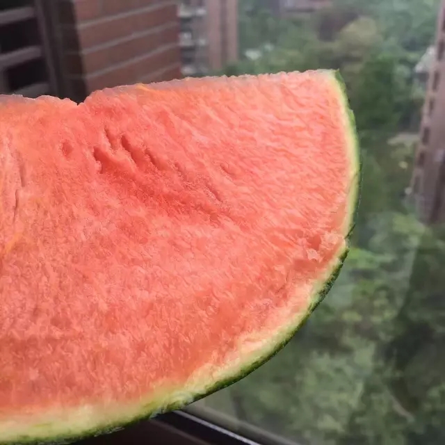 永利澳门手机网站