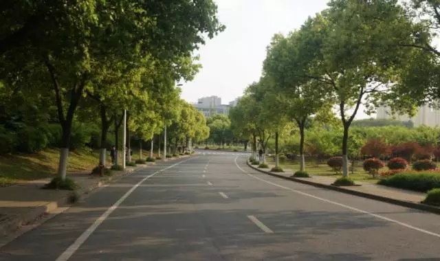 永利澳门手机网站