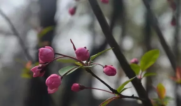 永利澳门手机网站