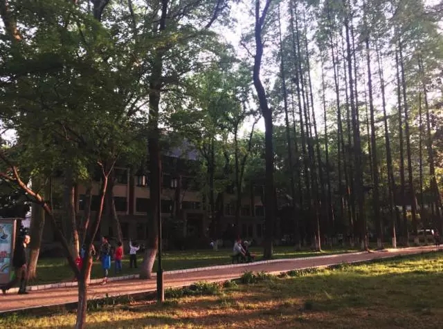 永利澳门手机网站