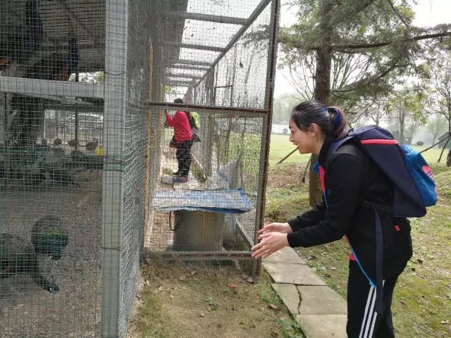 永利澳门手机网站