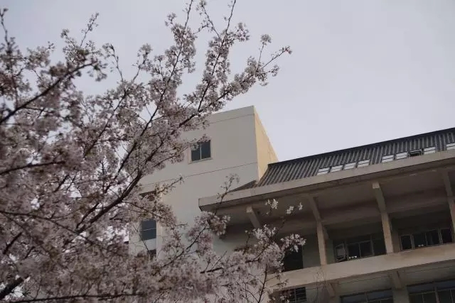 永利澳门手机网站