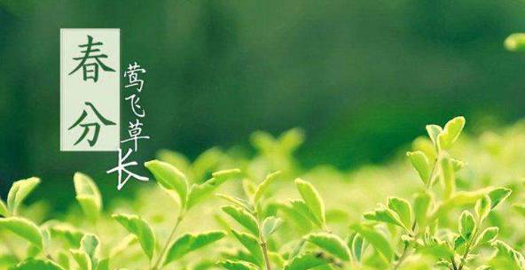 永利澳门手机网站