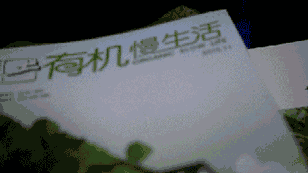 永利澳门手机网站